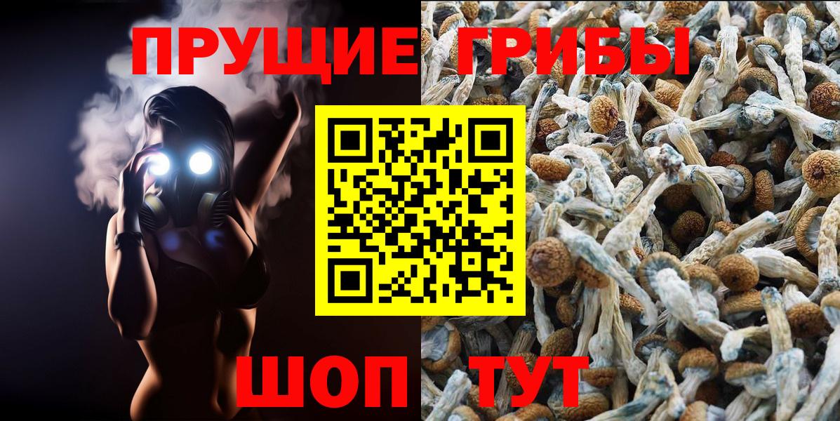 Псилоцибиновые грибы GOLDEN TEACHER  Галлюциногенные грибы Psilocybe  Великий Новгород  Вход с VPN 